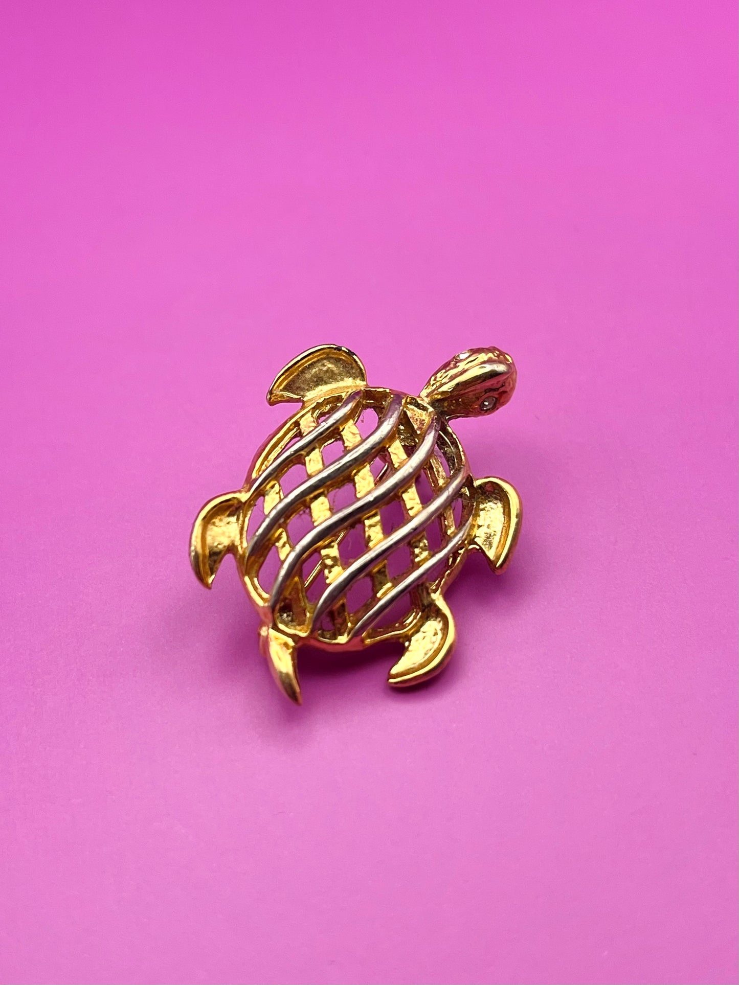 Broche tortue bicolore